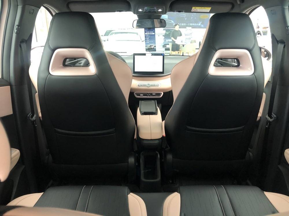 純電小型轎車銷量大小王 星愿與海鷗誰的后勁更強