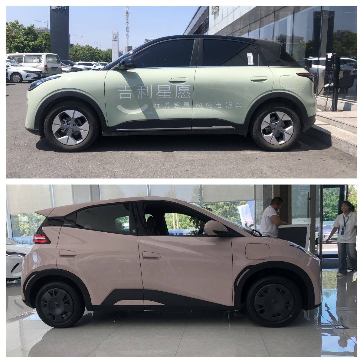 純電小型轎車銷量大小王 星愿與海鷗誰的后勁更強