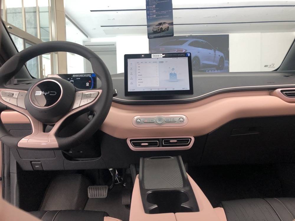 純電小型轎車銷量大小王 星愿與海鷗誰的后勁更強