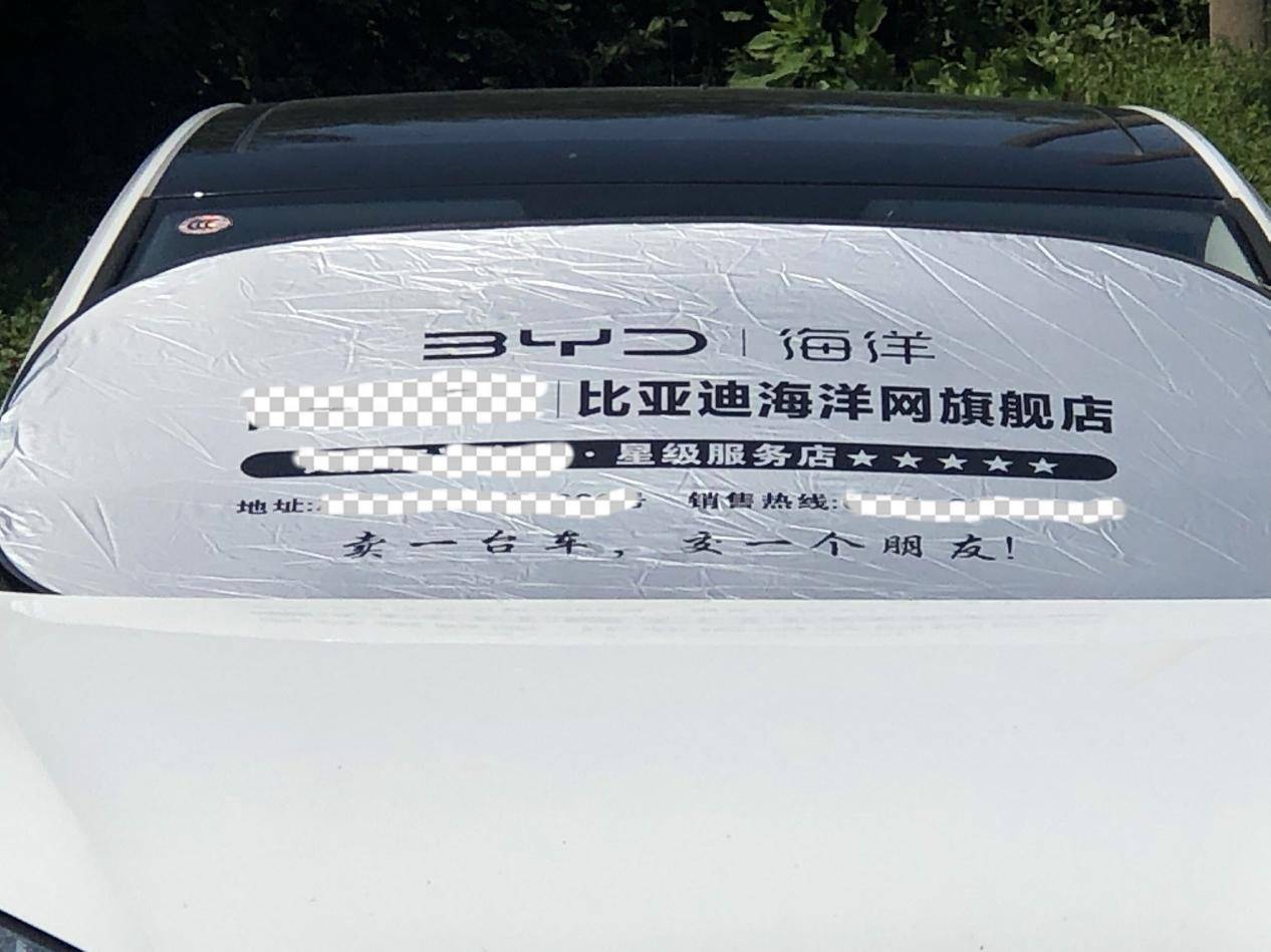 純電小型轎車銷量大小王 星愿與海鷗誰的后勁更強