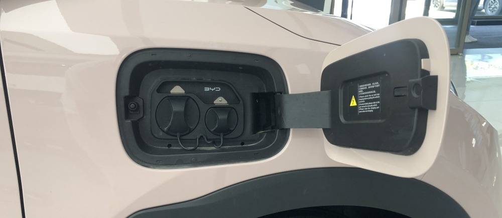 純電小型轎車銷量大小王 星愿與海鷗誰的后勁更強