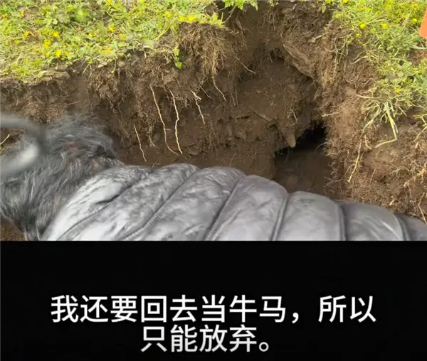 大疆Action 4被土撥鼠偷走 客服小姐姐都被逗笑了