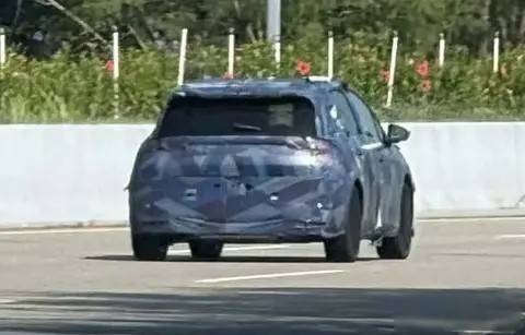 比亞迪終于聽勸了 海豚要放大招! A0級市場要變天?